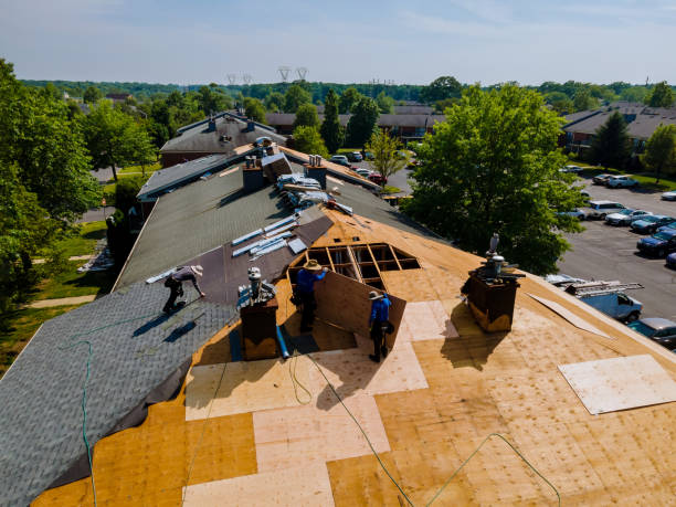 Quick and Trustworthy Emergency Roof Repair Services in Chaparral, NM